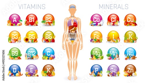 Vitamin, mineral and human body infographic. Nutrition food classification. Magnesium calcium potassium selenium phosphorus zinc mineral, A B C D E vitamin. Healthy supplement for pregnancy, immunity