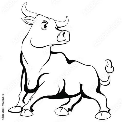 Black and white drawing of a bull for coloring book