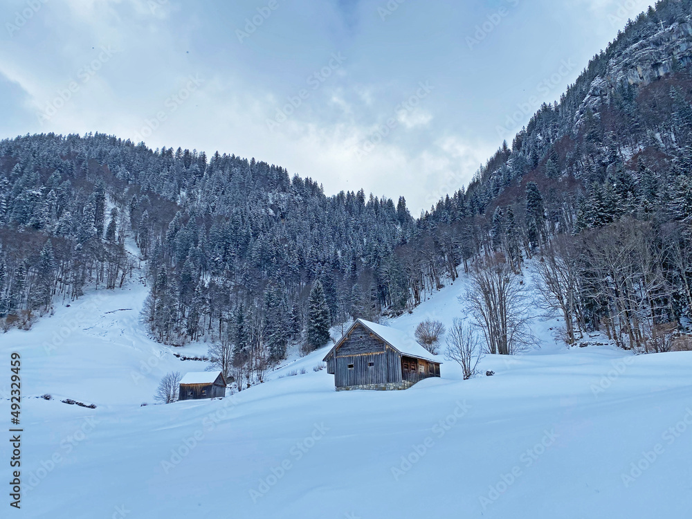 Indigenous alpine huts and wooden cattle stables on Swiss pastures covered with fresh white snow cover, Unterwasser - Obertoggenburg, Switzerland (Schweiz) Indigenous alpine huts and wooden cattle stables on Swiss pastures covered with fresh white snow cover, Unterwasser - Obertoggenburg, Switzerland (Schweiz)