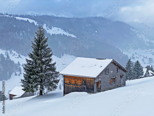 Indigenous alpine huts and wooden cattle stables on Swiss pastures covered with fresh white snow cover, Unterwasser - Obertoggenburg, Switzerland (Schweiz)