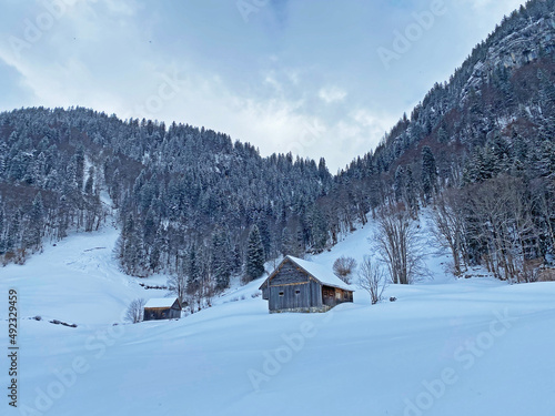 Indigenous alpine huts and wooden cattle stables on Swiss pastures covered with fresh white snow cover, Unterwasser - Obertoggenburg, Switzerland (Schweiz) © Mario