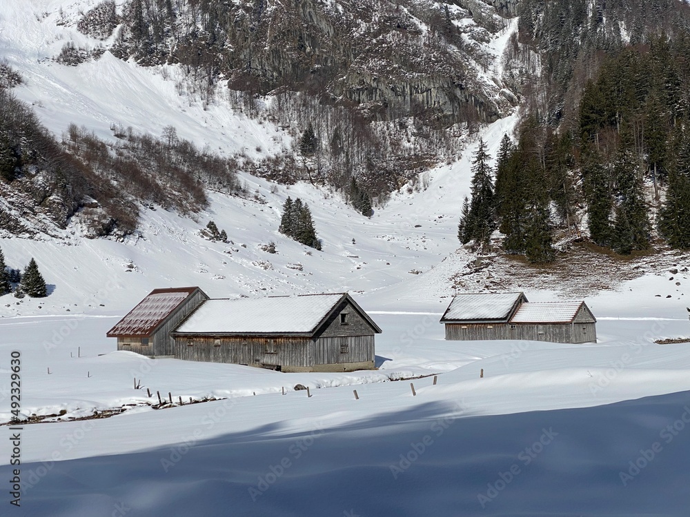 Indigenous alpine huts and wooden cattle stables on Swiss pastures covered with fresh white snow cover, Unterwasser - Obertoggenburg, Switzerland (Schweiz) Indigenous alpine huts and wooden cattle stables on Swiss pastures covered with fresh white snow cover, Unterwasser - Obertoggenburg, Switzerland (Schweiz)