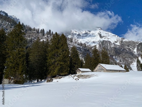 Indigenous alpine huts and wooden cattle stables on Swiss pastures covered with fresh white snow cover, Unterwasser - Obertoggenburg, Switzerland (Schweiz)