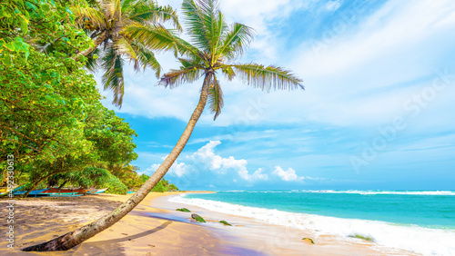 A tropical beach on Sri Lanka's south coast at Mirissa.