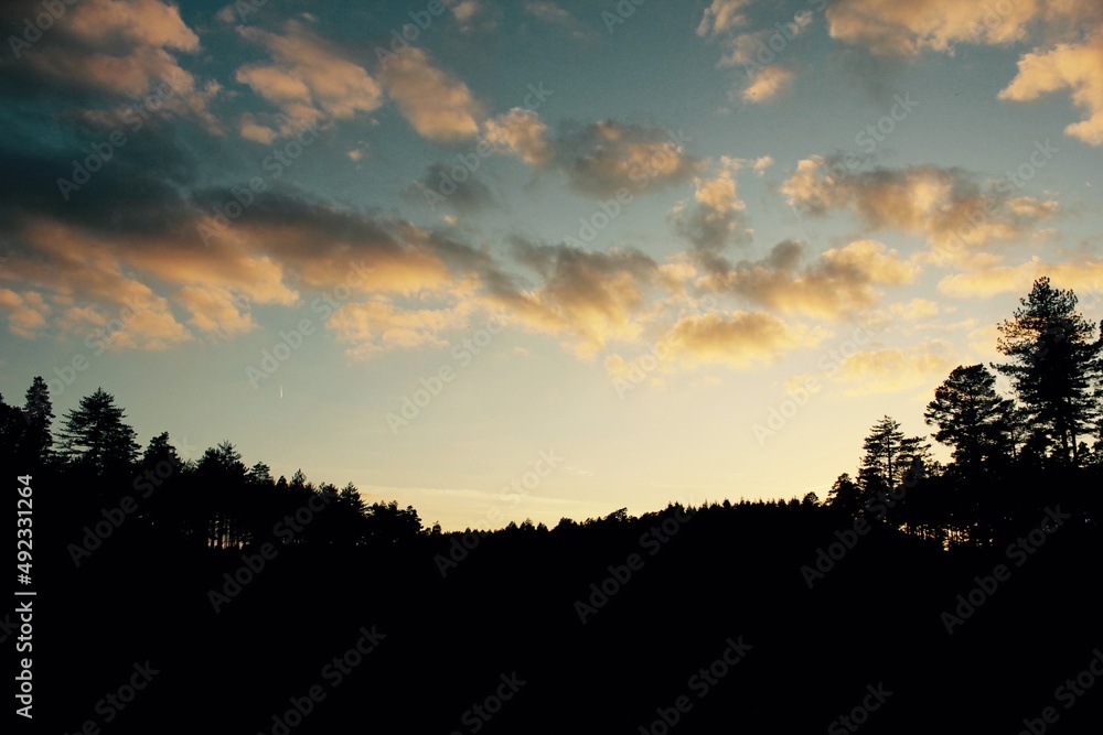 Obraz premium Sunset at the clearing