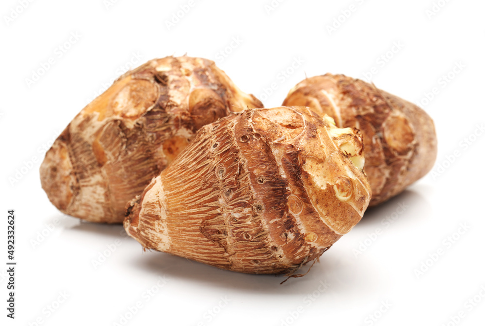 Taro on a white background Taro on a white background