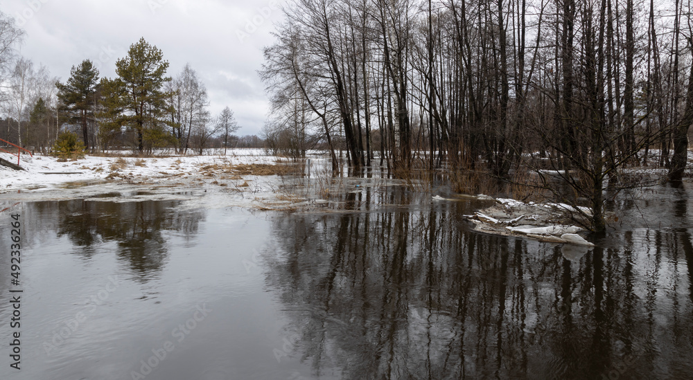 River in flood. Landscape with a river. Trees in the water. Last year's grass on thawed patches. Thaw, melting snow. River in flood. Landscape with a river. Trees in the water. Last year's grass on thawed patches. Thaw, melting snow.