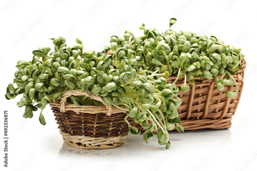 Naklejka premium Black bean sprouts on white background