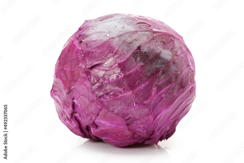 Obraz premium red cabbage isolated on white background
