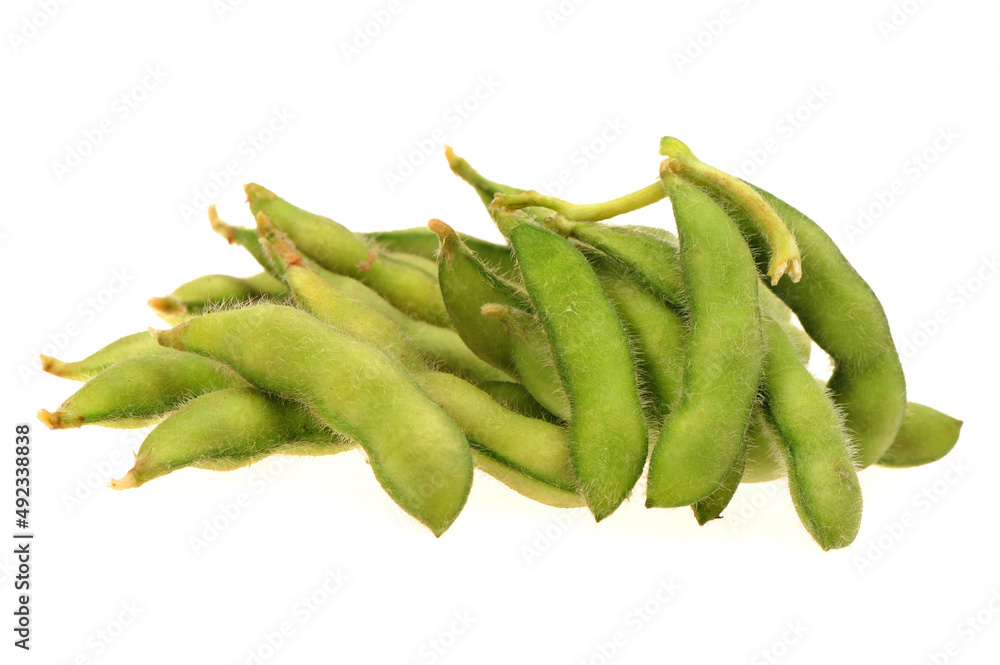 green soybeans isolated on white green soybeans isolated on white