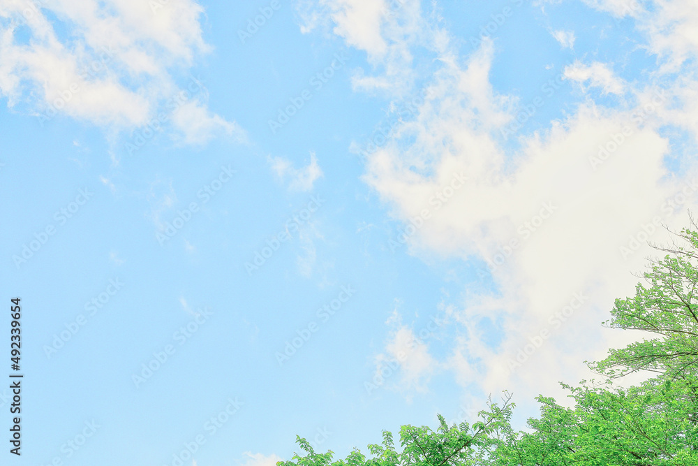 爽やかな青空と白い雲と緑 爽やかな青空と白い雲と緑
