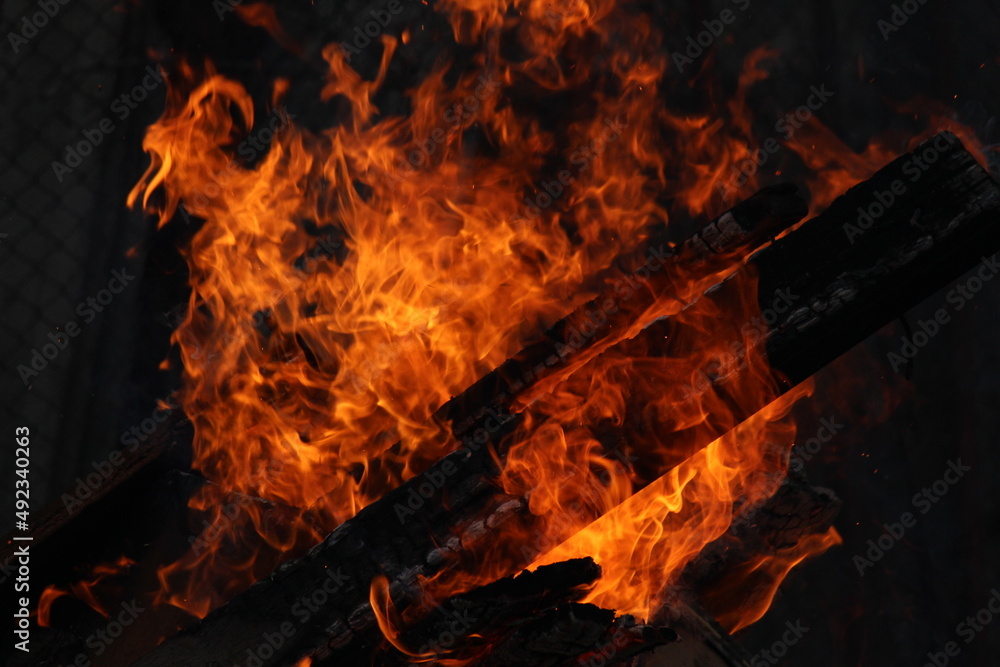 Fototapeta premium evening bonfire burning wood and flame