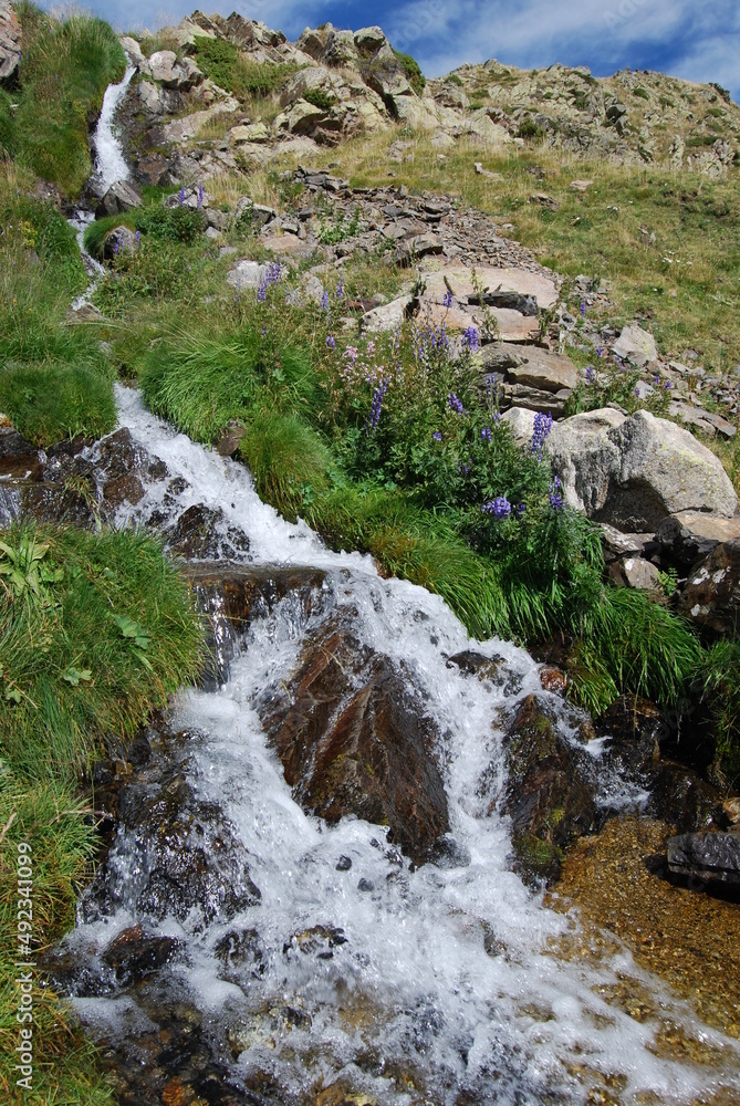 Salto de agua en mitad de la montaña entre vegetación verde Salto de agua en mitad de la montaña entre vegetación verde