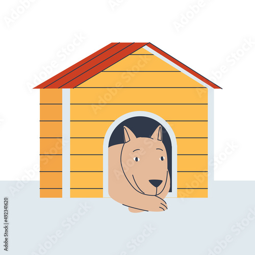 The dog is in the box. Home for a pet. Flat vector illustration. Eps10