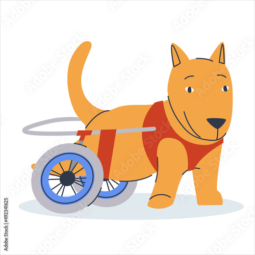 Dog with injured legs. Device for a disabled dog. Stroller for a sick dog. Flat vector illustration. Eps10