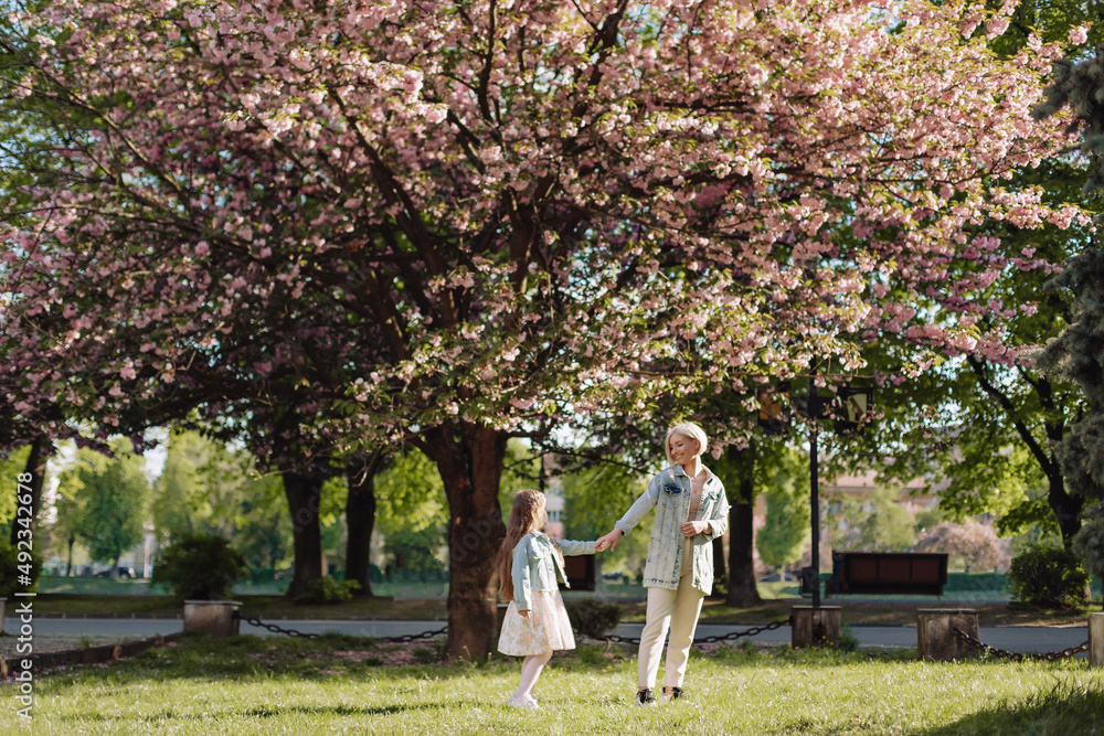 Fototapeta premium Sakura blossomed. Young mother with her child have fun in the park near the sakura. cherry trees blossom (Uzhhorod City, Ukraine)