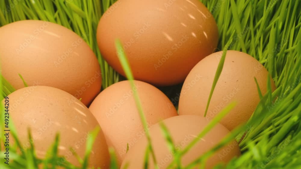 Chicken egg, rotation shot, Chicken fresh raw eggs.Healthy fresh food ingredients for breakfast. Animal products. Grocery. Chicken farm fresh eggs Chicken egg, rotation shot, Chicken fresh raw eggs.Healthy fresh food ingredients for breakfast. Animal products. Grocery. Chicken farm fresh eggs