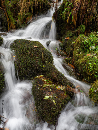 parque natural Fragas del Eume,​ provincia de La Coruña, Galicia, Spain photo