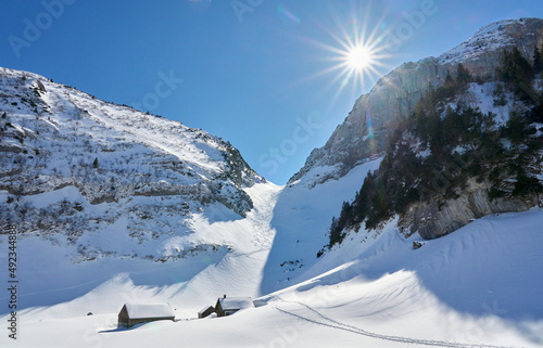 snowy winter landscape in t...
