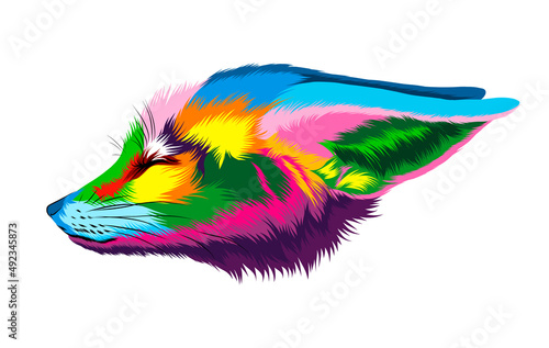Fotografie Abstract fennec fox head portrait, sand fox from multicolored paints