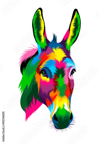 Abstract Donkey head portrait from multicolored paints. Colored drawing. Vector illustration of paints