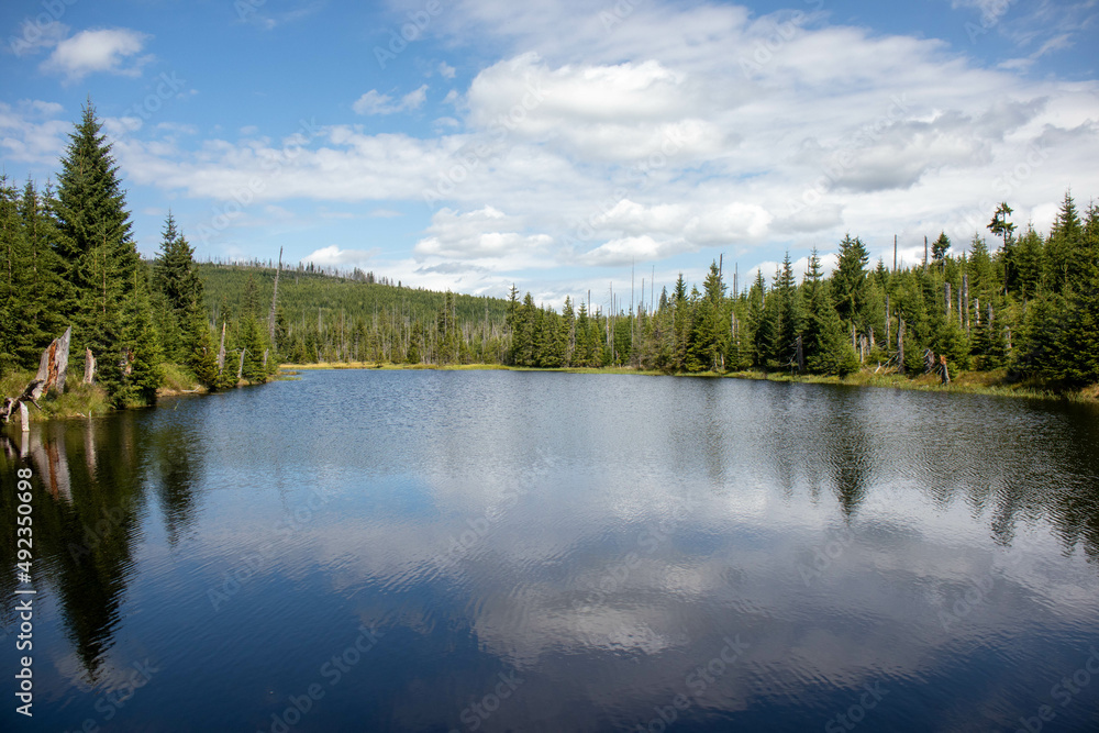 Fototapeta premium Small lake in the forest near the source of the Vltava River Bohemian Forest, Czech Republic