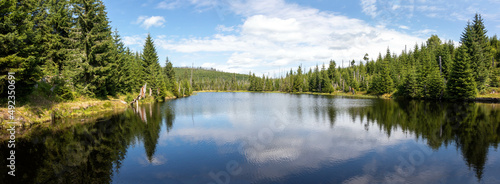 Small lake in the forest near the source of the Vltava River Bohemian Forest, Czech Republic