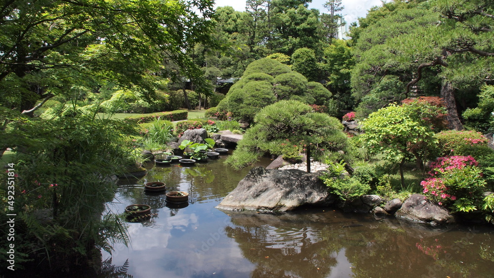 Karsushika Karsushika