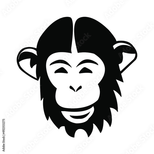 Monkey head isolated on white background photo