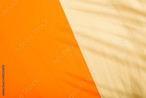 Orange and beige summer color background with tropical palm shadow. Two trend pastel paper and exotic plant shade layout. Minimal flat lay with leaf silhouette overlay.
