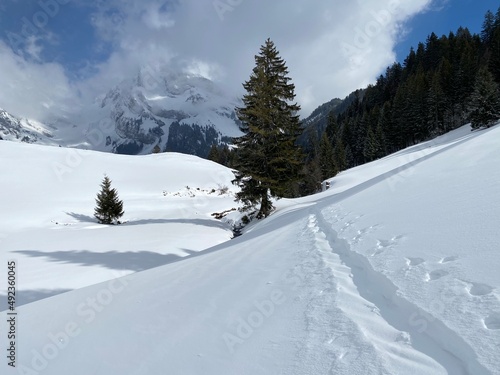 Wonderful winter hiking trails and traces on the slopes of the Alpstein mountain range and in the fresh alpine snow cover of the Swiss Alps - Unterwasser, Switzerland (Schweiz) © Mario