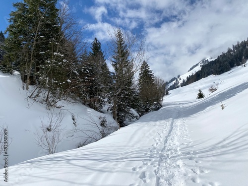 Wonderful winter hiking trails and traces on the slopes of the Alpstein mountain range and in the fresh alpine snow cover of the Swiss Alps - Unterwasser, Switzerland (Schweiz)