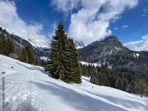 Wonderful winter hiking trails and traces on the slopes of the Alpstein mountain range and in the fresh alpine snow cover of the Swiss Alps - Unterwasser, Switzerland (Schweiz)