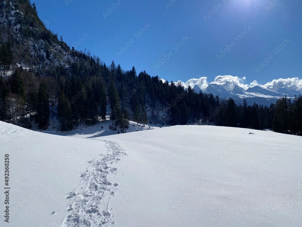Wonderful winter hiking trails and traces on the slopes of the Alpstein mountain range and in the fresh alpine snow cover of the Swiss Alps - Unterwasser, Switzerland (Schweiz)