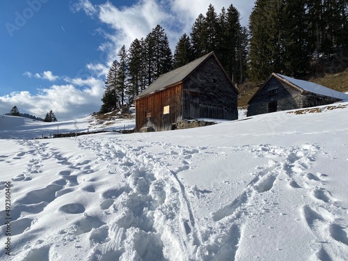 Wonderful winter hiking trails and traces on the slopes of the Alpstein mountain range and in the fresh alpine snow cover of the Swiss Alps - Unterwasser, Switzerland (Schweiz) © Mario
