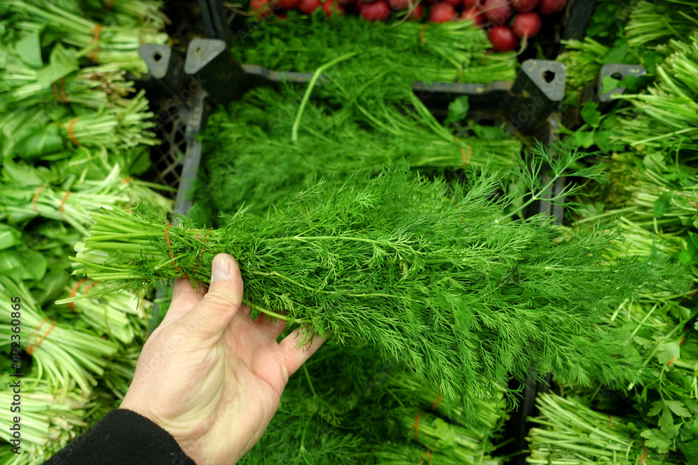 greengrocer, fresh greens, parsley, dill, arugula, cress, ready-to-sale breakfast greens,