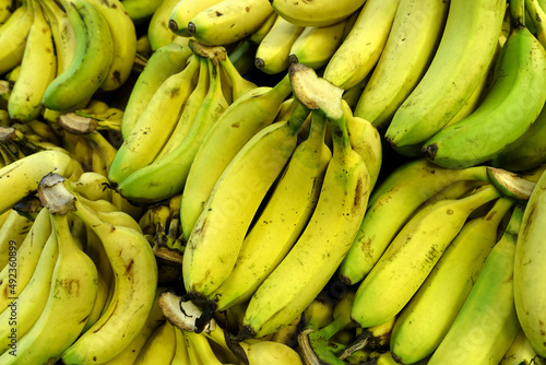 bananas in the greengrocer, a large amount of bananas on sale in the sales aisle,