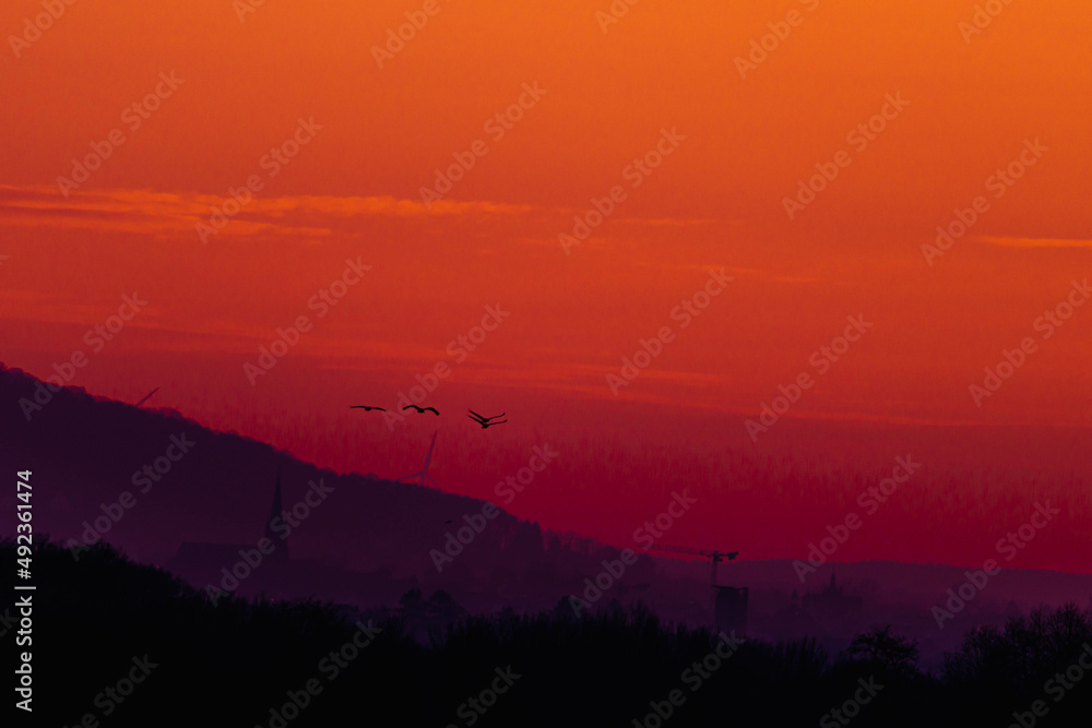Żurawie lecące nad zboczem góry, na tle wieczornego, czerwonego nieba. U dołu widać niewyraźną bryłę budynku kościoła. - obrazy, fototapety, plakaty 