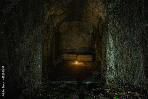 Stary, zabytkowy kamienny grobowiec nocą. Jest on porośnięty gęstym bluszczem. We wnętrzu grobowca, na kamiennych płytach, pokrywających podłoże stoi zapalona świeca. photo