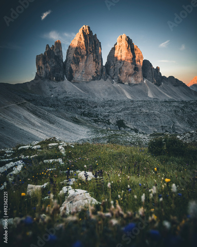 Tre Cime di Lavaredo Dolomites - sunrise in the mountains during Spring with flowers in the foreground