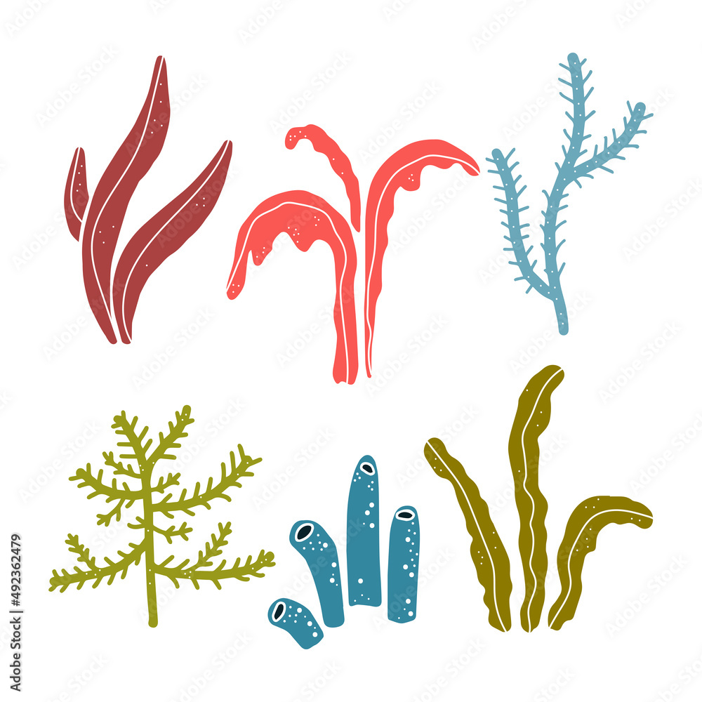 Hand drawn tropical seaweed, algae doodle set. Marine underwater plants and corals elements. Colored vector illustration isolated on white background Hand drawn tropical seaweed, algae doodle set. Marine underwater plants and corals elements. Colored vector illustration isolated on white background