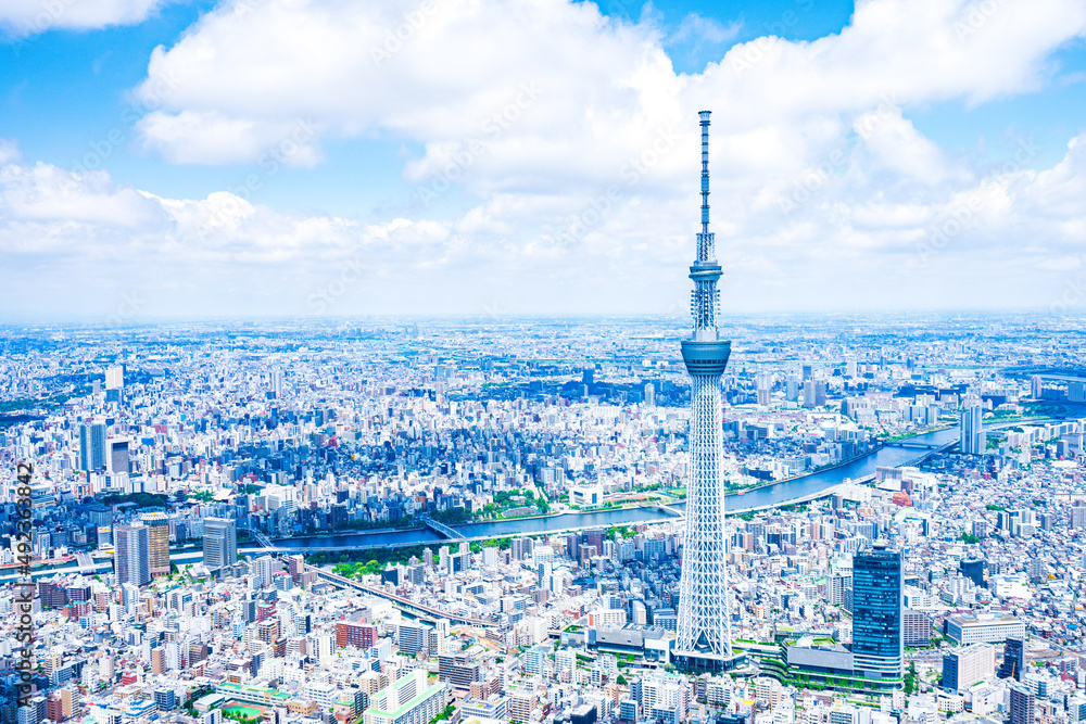 Fototapeta premium 東京スカイツリー・空撮写真