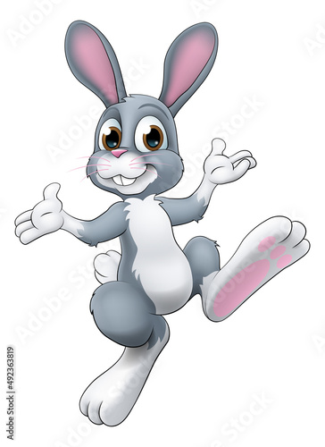 Easter Bunny Rabbit Cartoon Character Illustration photo