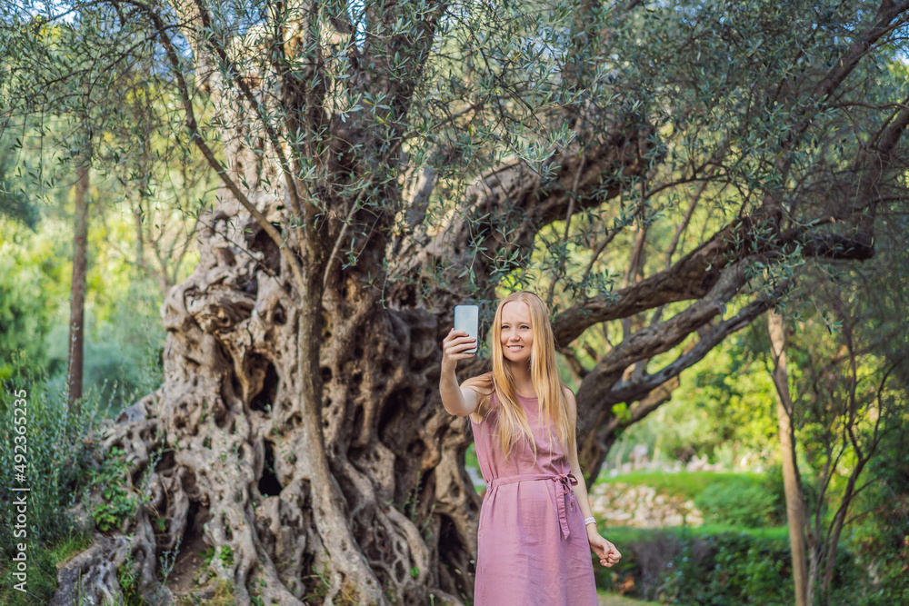 woman tourist looking at 2000 years old olive tree: Stara Maslina in Budva, Montenegro. It is thought to be the oldest tree in Europe and is a tourist attraction. In the background the montenegrin woman tourist looking at 2000 years old olive tree: Stara Maslina in Budva, Montenegro. It is thought to be the oldest tree in Europe and is a tourist attraction. In the background the montenegrin