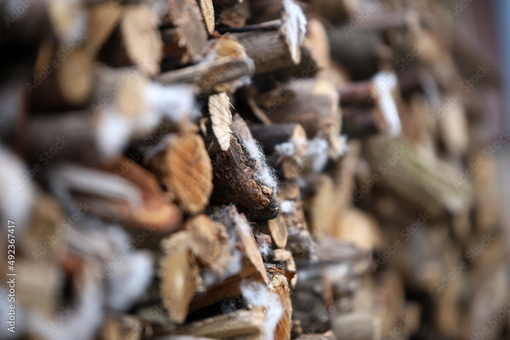 Firewood for the oven Firewood for the oven