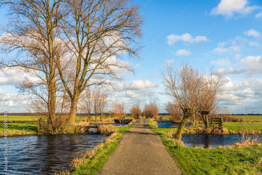Narrow country road in a Dutch polder landscape. It is a sunny day with clouds in the blue sky. The photo was taken near the village of Gouderak, South Holland. Narrow country road in a Dutch polder landscape. It is a sunny day with clouds in the blue sky. The photo was taken near the village of Gouderak, South Holland.