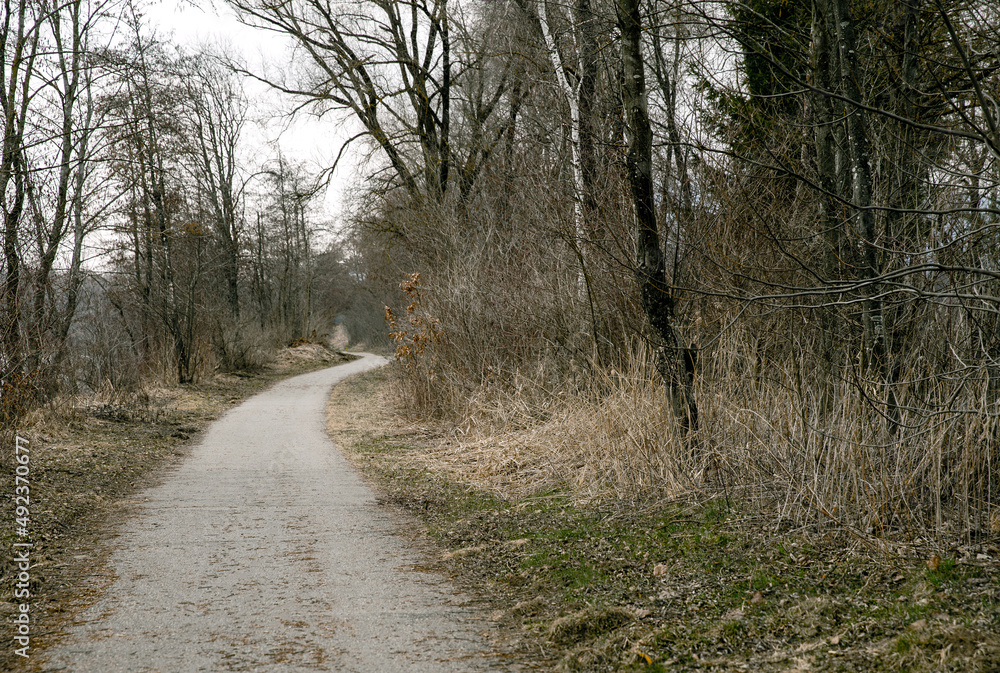 Country road in the forest in early spring, melancholy mood, stock photo