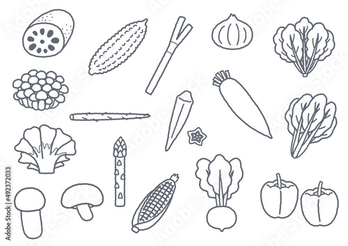 野菜のイラスト2　線画