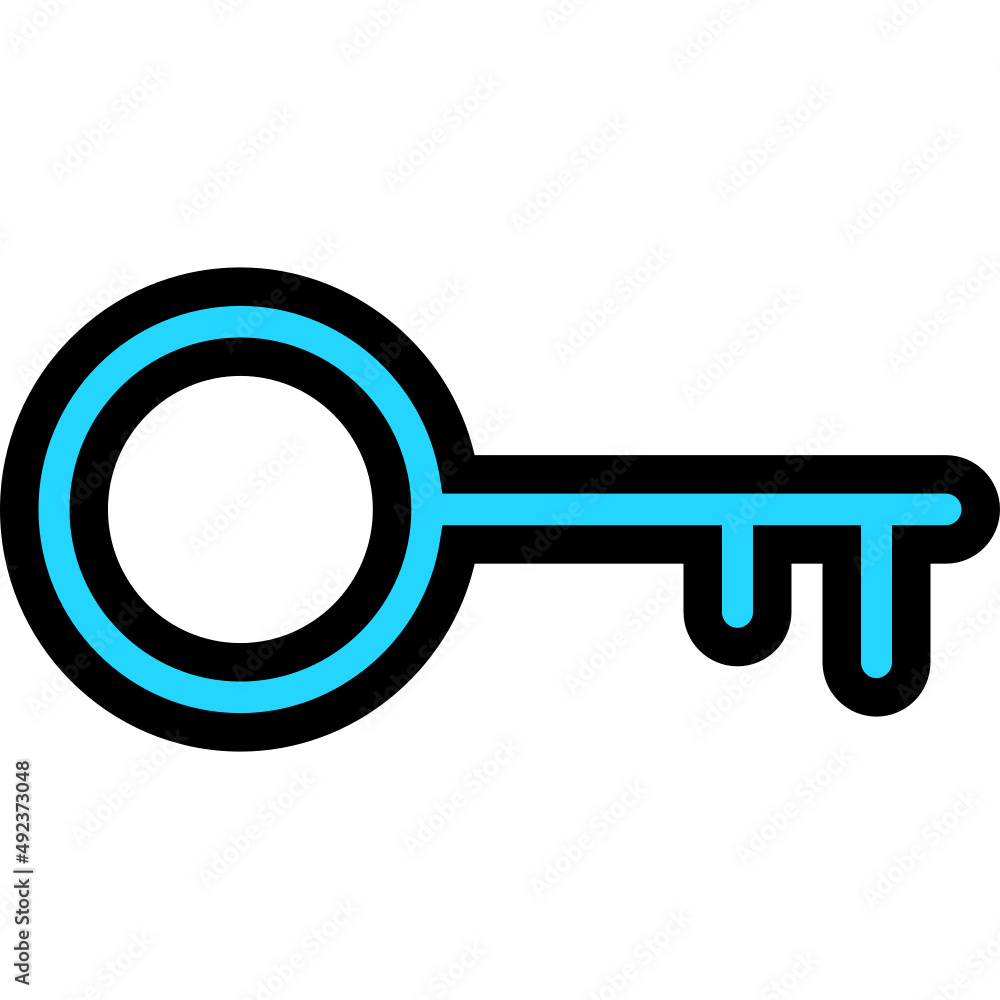 key icon vector