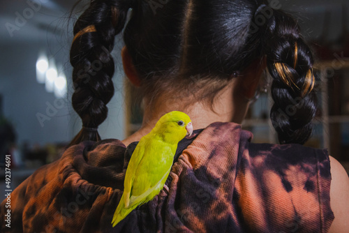forpus parrot standing on girl body